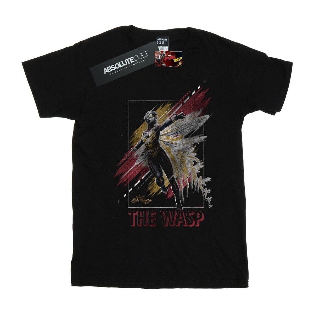 Abbigliamento Donna T-shirts a maniche lunghe Marvel Ant-Man And The Wasp Framed Wasp Nero