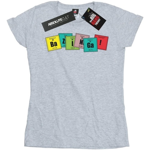 Abbigliamento Donna T-shirts a maniche lunghe The Big Bang Theory Bazinga Elements Grigio