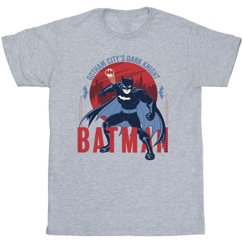 Abbigliamento Bambino T-shirt maniche corte Dc Comics Batman Gotham City Grigio