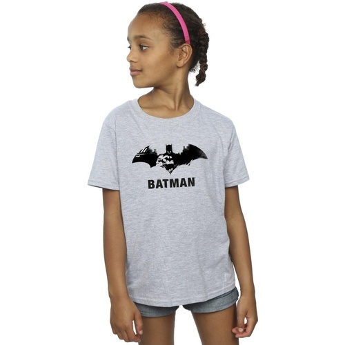 Abbigliamento Bambina T-shirts a maniche lunghe Dc Comics Batman Black Stare Logo Grigio