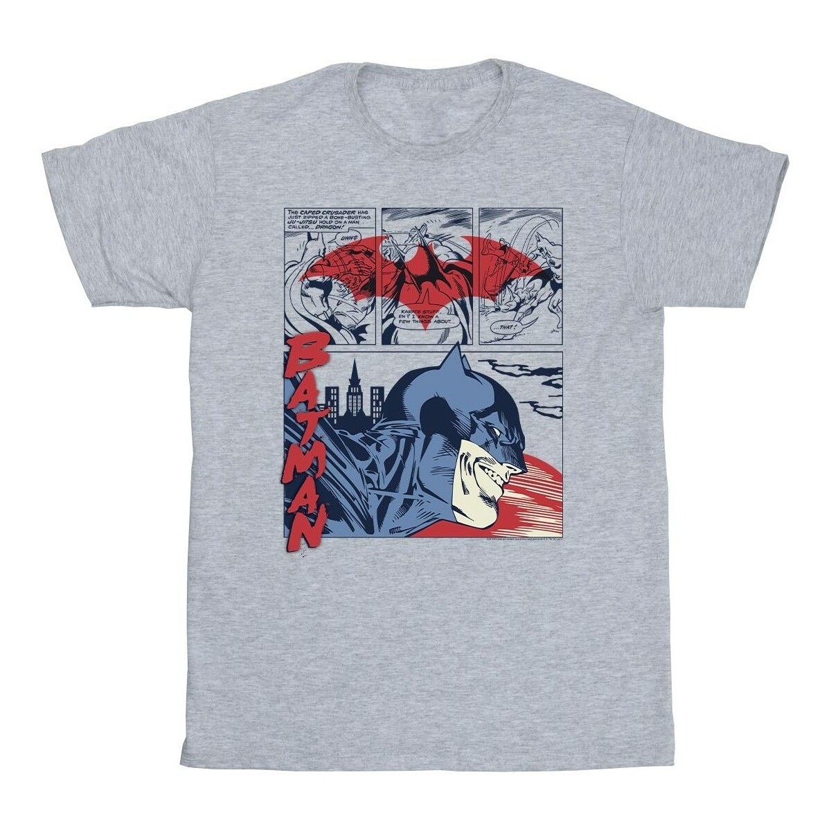 Abbigliamento Bambino T-shirt maniche corte Dc Comics Batman Comic Strip Grigio
