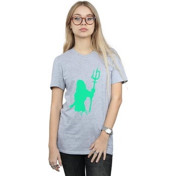 Abbigliamento Donna T-shirts a maniche lunghe Dc Comics BI9856 Grigio
