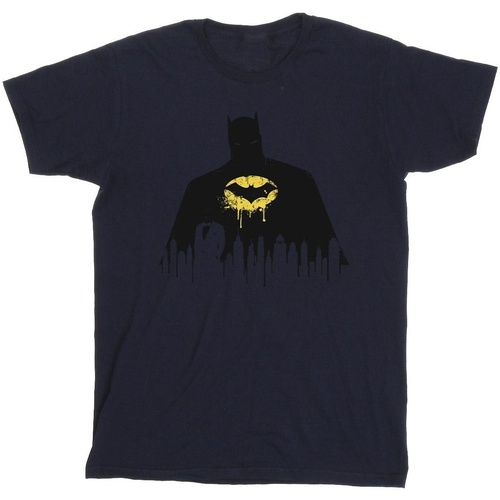 Abbigliamento Bambina T-shirts a maniche lunghe Dc Comics Batman Shadow Paint Blu