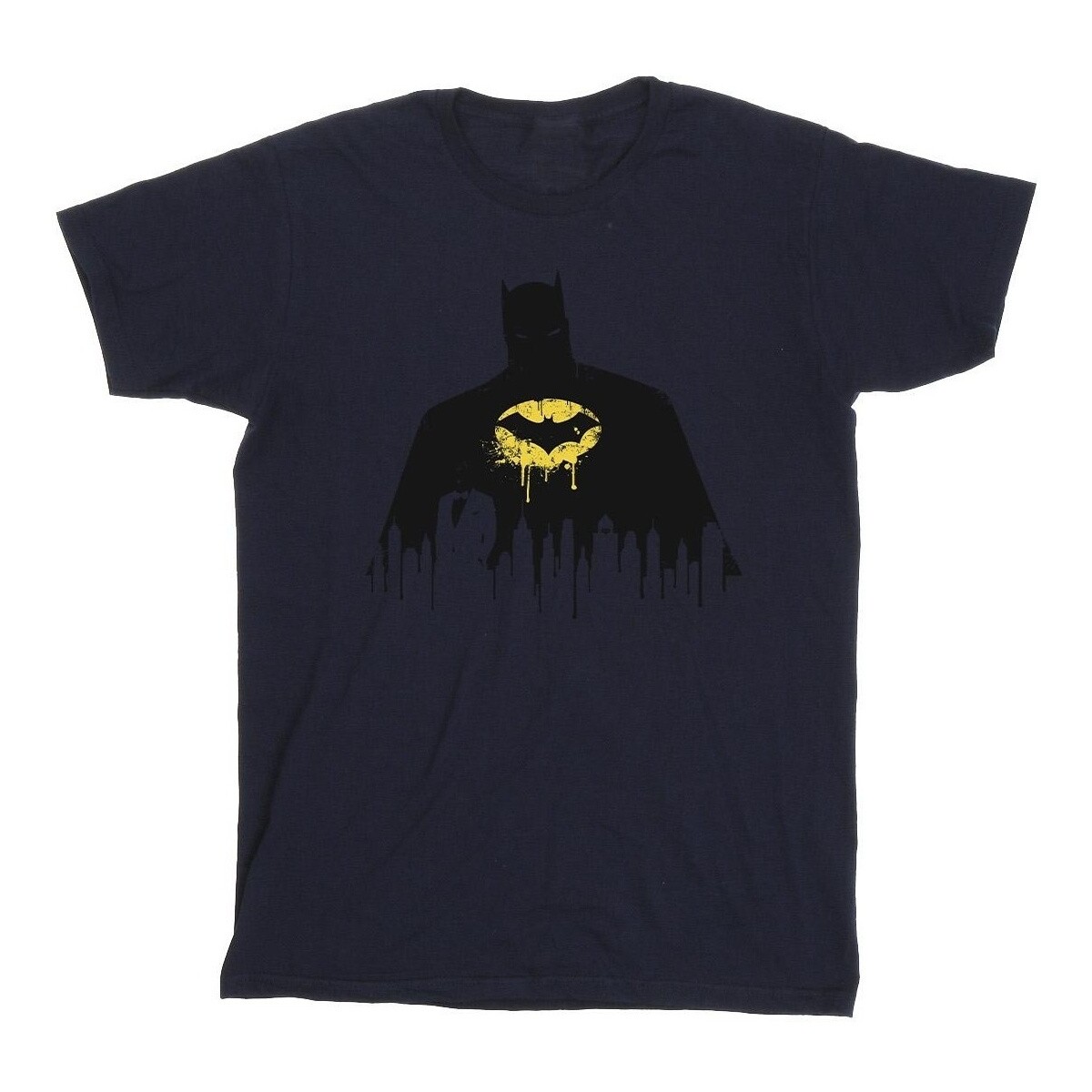 Abbigliamento Bambina T-shirts a maniche lunghe Dc Comics Batman Shadow Paint Blu