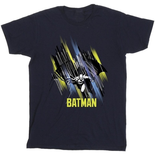 Abbigliamento Bambina T-shirts a maniche lunghe Dc Comics Batman Flying Batman Blu