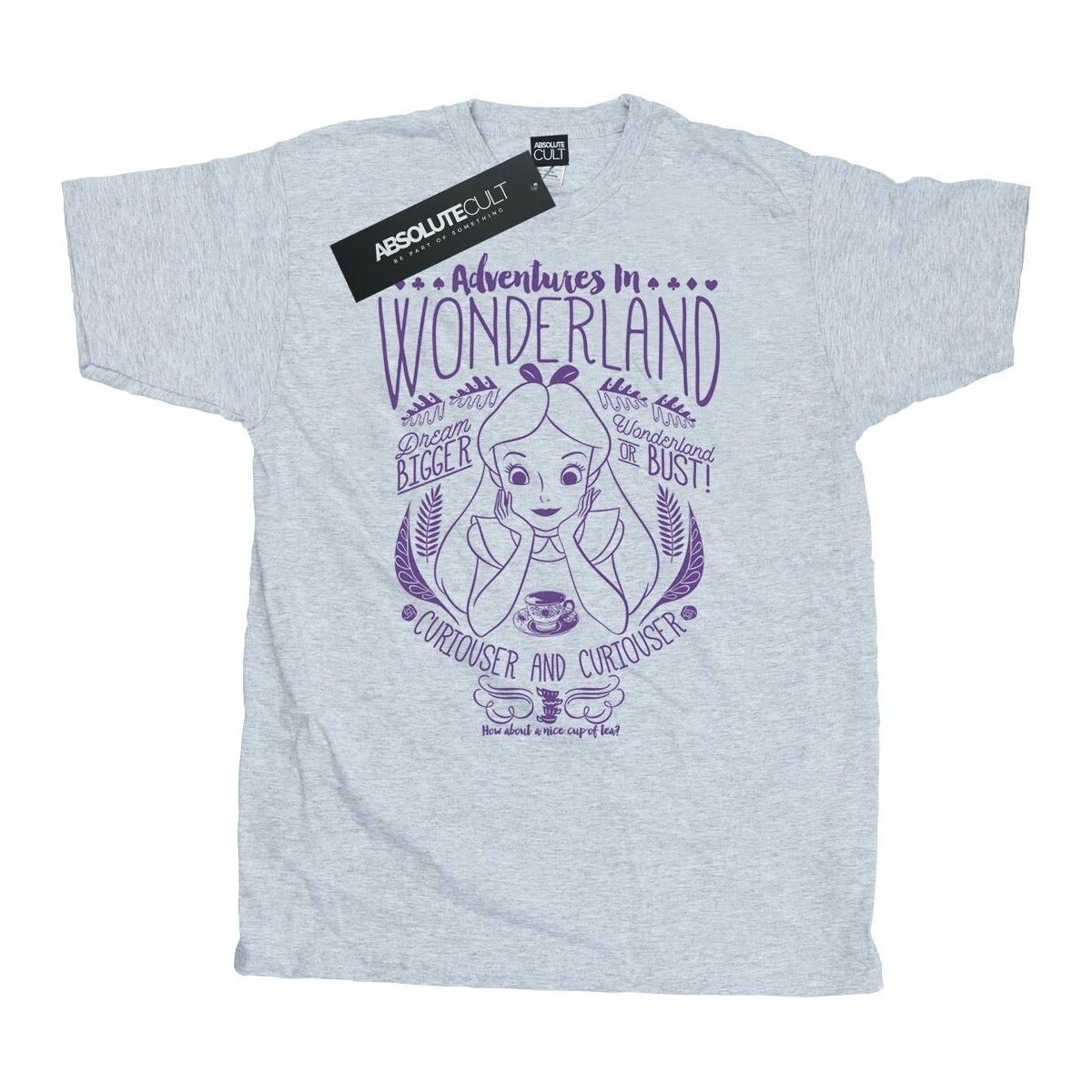 Abbigliamento Uomo T-shirts a maniche lunghe Disney Alice In Wonderland Adventures In Wonderland Grigio