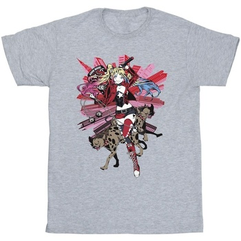 Abbigliamento Bambina T-shirts a maniche lunghe Dc Comics Harley Quinn Hyenas Grigio