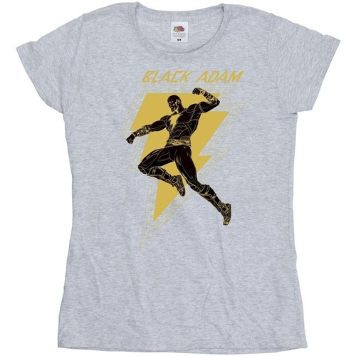 Abbigliamento Donna T-shirts a maniche lunghe Dc Comics Black Adam Golden Bolt Chest Grigio