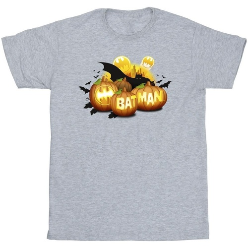 Abbigliamento Bambino T-shirt maniche corte Dc Comics Batman Pumpkins Grigio