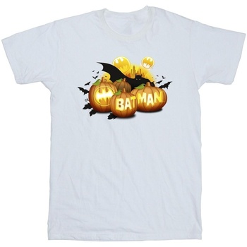 Image of T-shirt Dc Comics Batman Pumpkins