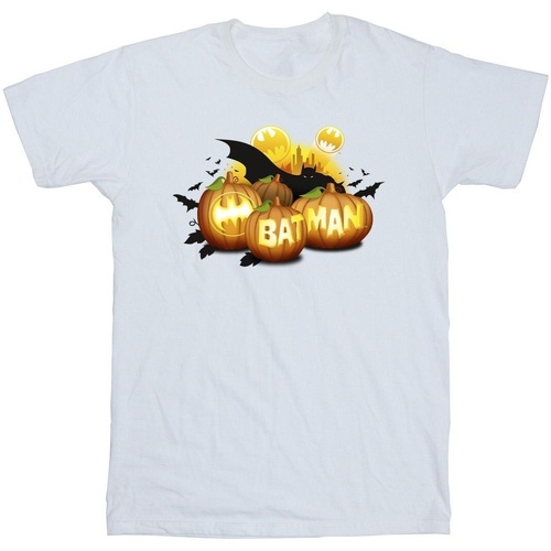 Abbigliamento Bambino T-shirt maniche corte Dc Comics Batman Pumpkins Bianco