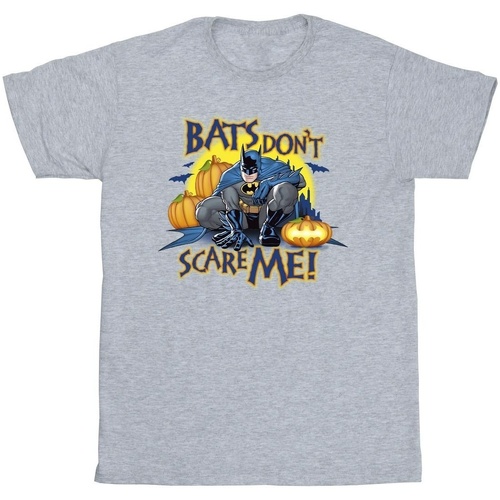 Abbigliamento Bambino T-shirt maniche corte Dc Comics Batman Bats Don't Scare Me Grigio