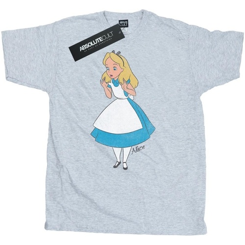 Abbigliamento Uomo T-shirts a maniche lunghe Disney Alice In Wonderland Surprised Alice Grigio