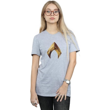 Abbigliamento Donna T-shirts a maniche lunghe Dc Comics Aquaman Emblem Grigio