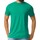 Abbigliamento Uomo T-shirts a maniche lunghe Gildan Softstyle CVC Verde