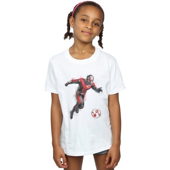 Abbigliamento Bambina T-shirts a maniche lunghe Marvel Avengers Endgame Painted Ant-Man Bianco