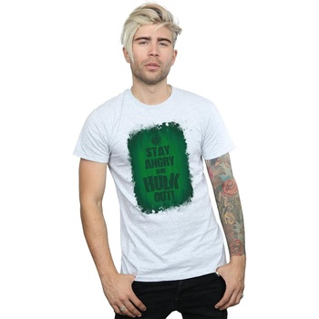 Abbigliamento Uomo T-shirts a maniche lunghe Marvel Hulk Stay Angry Grigio