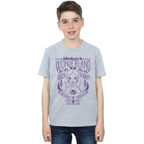 Abbigliamento Bambino T-shirt maniche corte Disney Alice In Wonderland Adventures In Wonderland Grigio