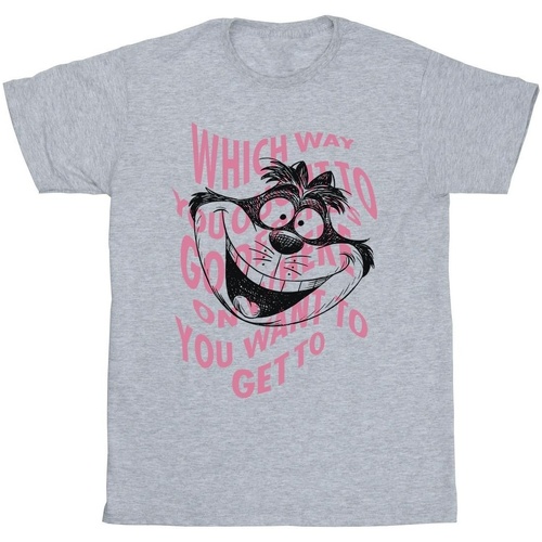 Abbigliamento Bambino T-shirt maniche corte Disney Alice In Wonderland Chesire Cat Grigio