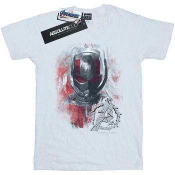 Abbigliamento Donna T-shirts a maniche lunghe Marvel Avengers Endgame Ant-Man Brushed Bianco