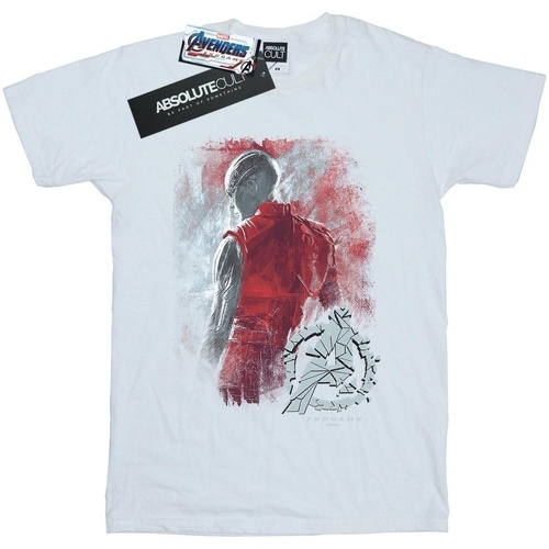 Abbigliamento Donna T-shirts a maniche lunghe Marvel Avengers Endgame Nebula Brushed Bianco