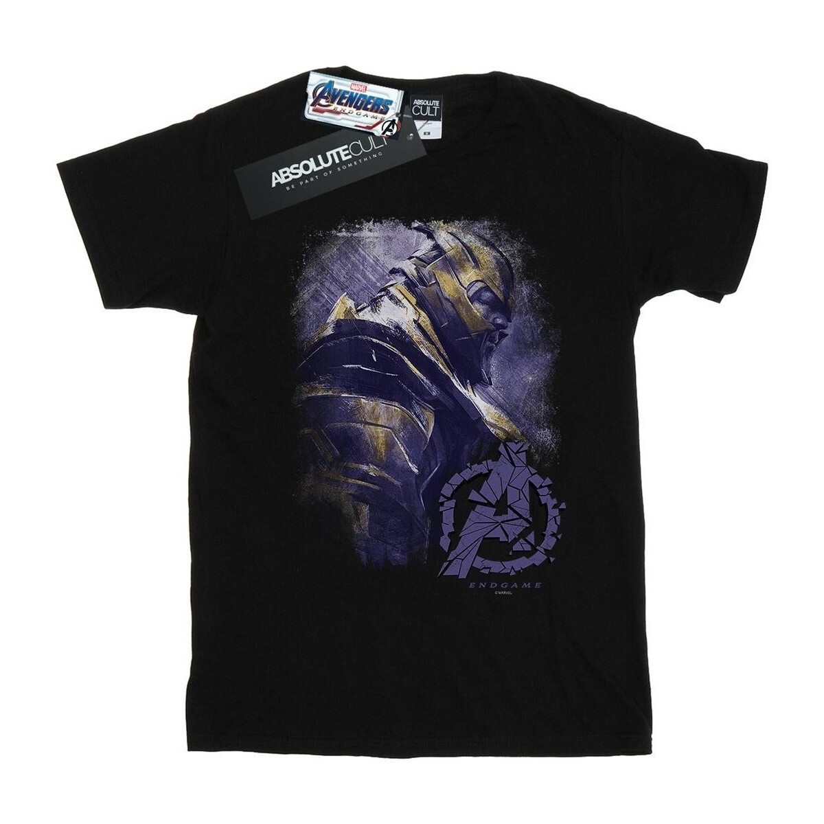 Abbigliamento Donna T-shirts a maniche lunghe Marvel Avengers Endgame Thanos Brushed Nero