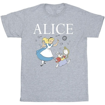 Abbigliamento Bambino T-shirt maniche corte Disney Alice In Wonderland Follow The Rabbit Grigio