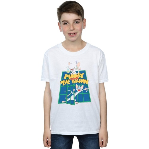 Abbigliamento Bambino T-shirt maniche corte Animaniacs Pinky And The Brain Laboratory Bianco