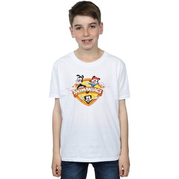 Abbigliamento Bambino T-shirt maniche corte Animaniacs Group Shield Bianco