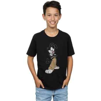 Abbigliamento Bambino T-shirt maniche corte Animaniacs Yakko Classic Pose Nero