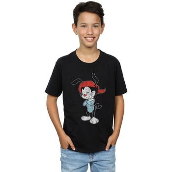 Abbigliamento Bambino T-shirt maniche corte Animaniacs Wakko Classic Pose Nero