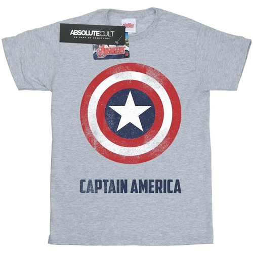 Abbigliamento Uomo T-shirts a maniche lunghe Marvel Captain America Shield Text Grigio