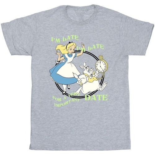 Abbigliamento Bambina T-shirts a maniche lunghe Disney Alice In Wonderland I'm Late Grigio