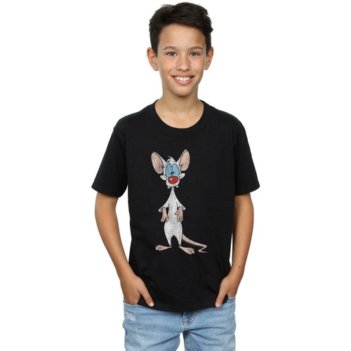 Abbigliamento Bambino T-shirt maniche corte Animaniacs Pinky Classic Pose Nero