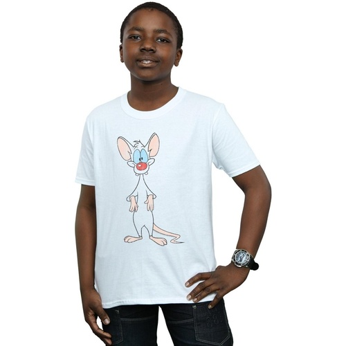 Abbigliamento Bambino T-shirt maniche corte Animaniacs Pinky Classic Pose Bianco