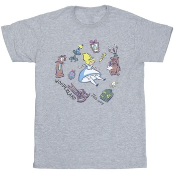 Abbigliamento Bambina T-shirts a maniche lunghe Disney Alice In Wonderland Falling Grigio