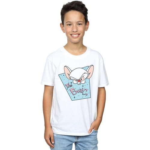 Abbigliamento Bambino T-shirt & Polo Animaniacs The Brain Mugshot Bianco