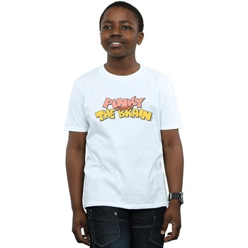 Abbigliamento Bambino T-shirt maniche corte Animaniacs Pinky And The Brain Logo Bianco