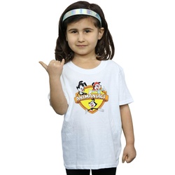 Abbigliamento Bambina T-shirts a maniche lunghe Animaniacs Logo Crest Bianco