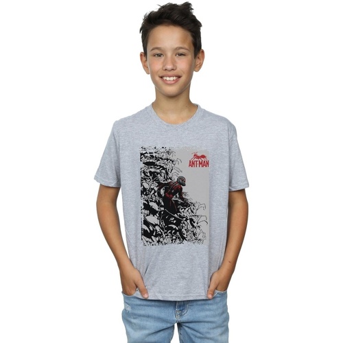 Abbigliamento Bambino T-shirt maniche corte Marvel Ant-Man Army Grigio