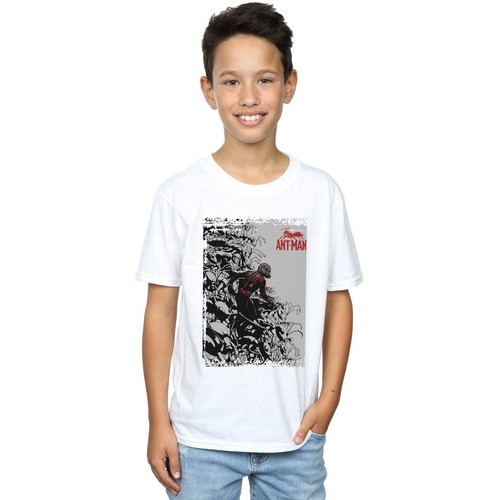 Abbigliamento Bambino T-shirt maniche corte Marvel Ant-Man Army Bianco