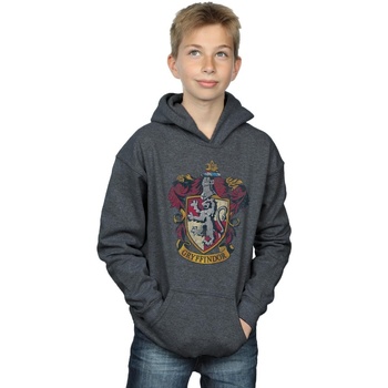 Abbigliamento Bambino Felpe Harry Potter Gryffindor Distressed Crest Grigio