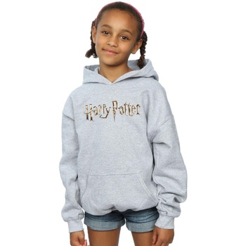Abbigliamento Bambina Felpe Harry Potter Full Colour Logo Grigio