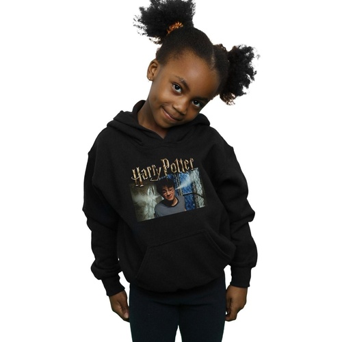 Abbigliamento Bambina Felpe Harry Potter Steam Ears Nero