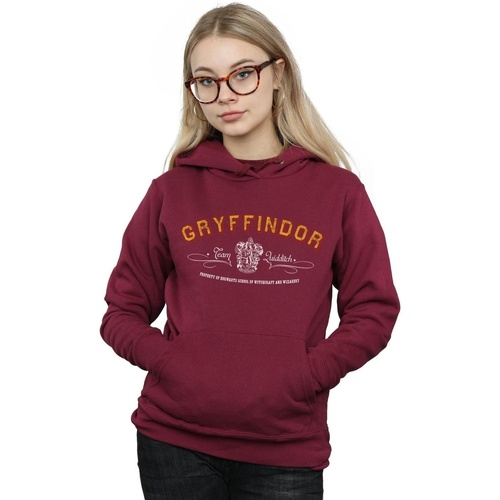 Abbigliamento Donna Felpe Harry Potter Gryffindor Team Quidditch Multicolore