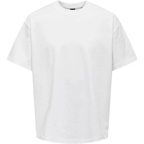 Abbigliamento Uomo T-shirt maniche corte Only & Sons  22027787 Multicolore