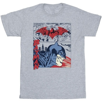 Abbigliamento Bambina T-shirts a maniche lunghe Dc Comics Batman Comic Strip Grigio