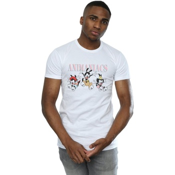 Abbigliamento Uomo T-shirts a maniche lunghe Animaniacs Group Jump Bianco