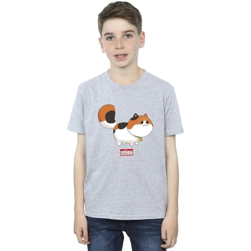 Abbigliamento Bambino T-shirt maniche corte Disney Big Hero 6 Baymax Kitten Pose Grigio