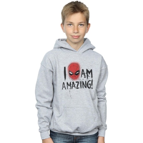 Abbigliamento Bambino Felpe Marvel Spider-Man I Am Amazing Grigio